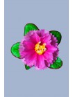 821 Букет Маргаритки Круг